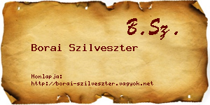 Borai Szilveszter névjegykártya