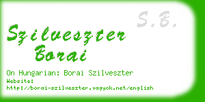 szilveszter borai business card